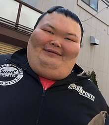 Sumo cheap wrestler weight