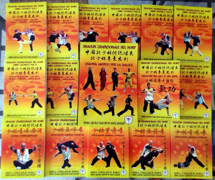 Shaolin Kung Fu Training
