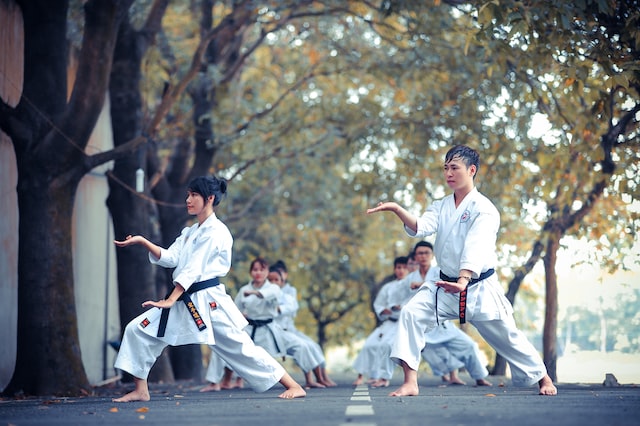 Realistic Expectations in Martial Art Training